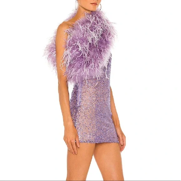 Bronx and Blanco Lulu Mini dress 💜 purchased from REVOLVE - Picture 3 of 9